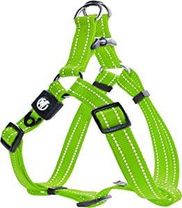 Nylon Dog Harness, Step-In, Reflective, Adjustable, Escape-Proof, For Small &