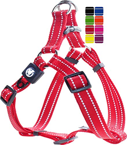 Reflective Nylon Step-In Dog Harness - Adjustable Chest Harness Dogs - Xxs