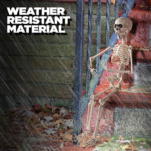 20 Inch Posable Halloween Skeleton- Full Body Halloween Skeleton With Movable