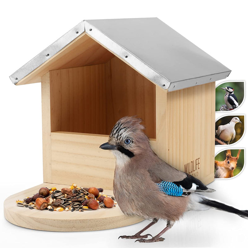 I Large Robust Bird Feeder Especially Also For Large Birds