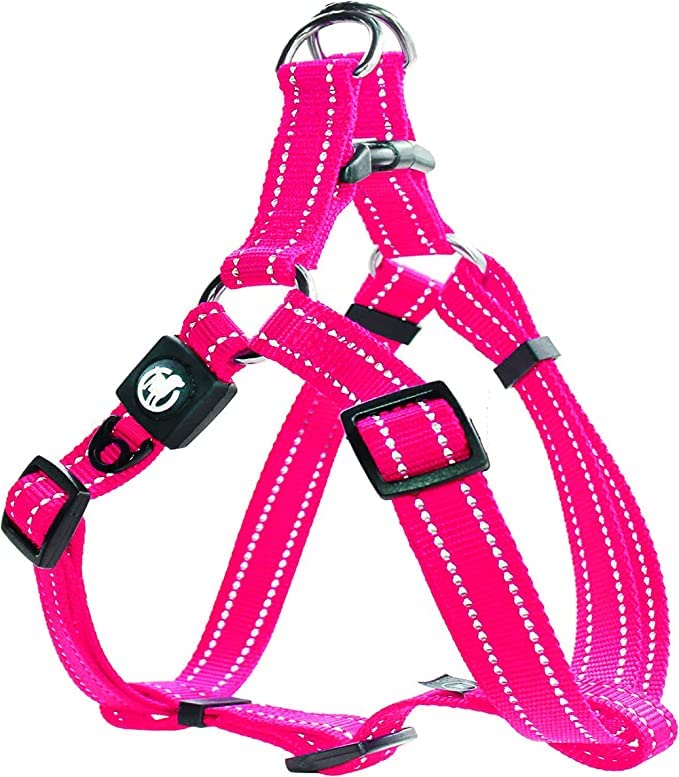 Nylon Dog Harness, Step-In, Reflective, Adjustable, Escape-Proof, For Small &