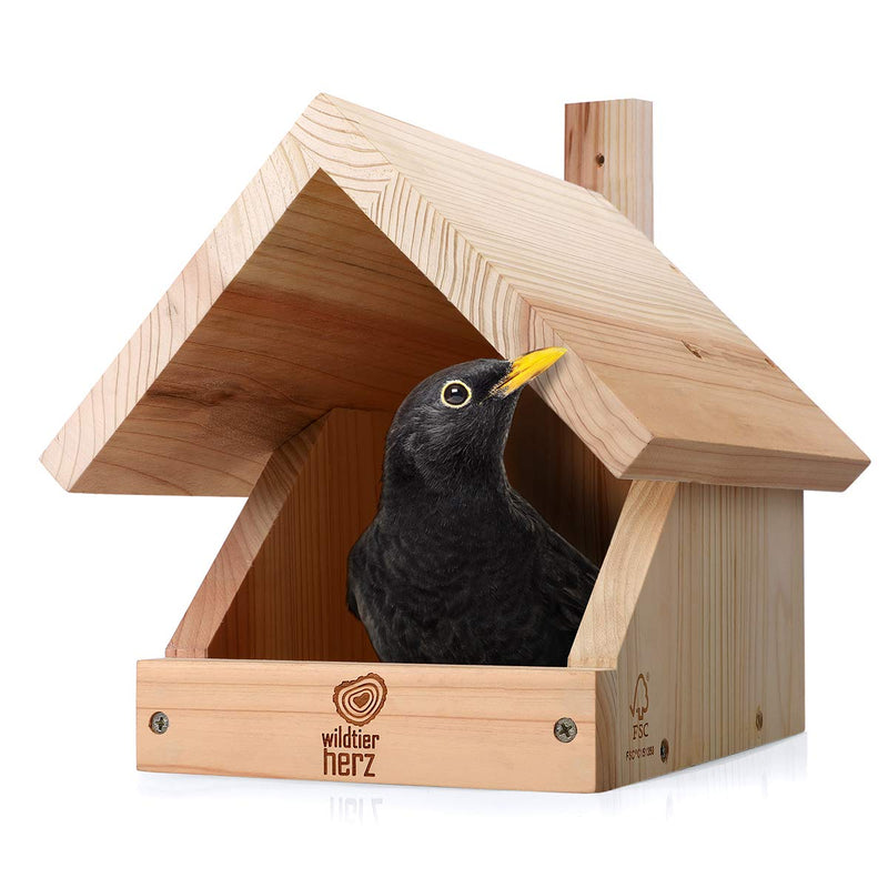 I Blackbird Nest Box Made Of Screwed Solid Wood - 10 X 115 X 11