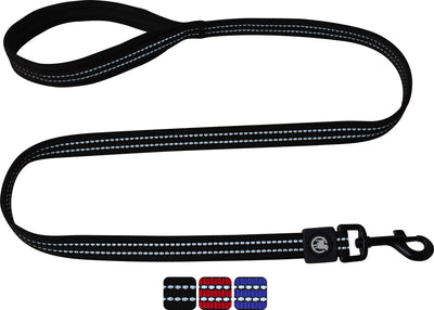 Reflective Nylon Dog Leash - 4 Ft, Training Leash With Padded Hand Loop Dogs -