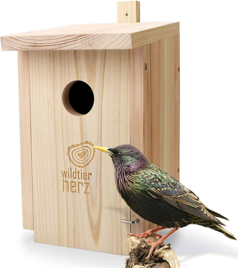 Nesting Box For Starlings & Coloured Woodpeckers - Bird Box, Nest Box, Solid