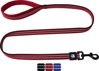 Reflective Nylon Dog Leash - 4 Ft, Training Leash With Padded Hand Loop Dogs -