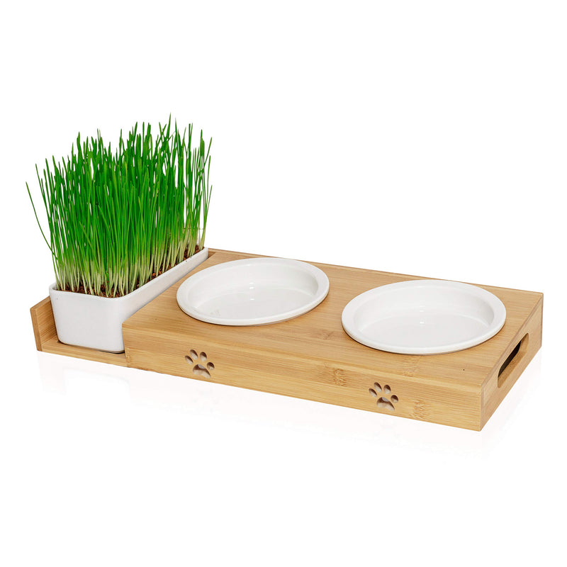 Cat Grass Feeding Station - Porcelain Cat Bowl - Raised Bowl Set With Cat