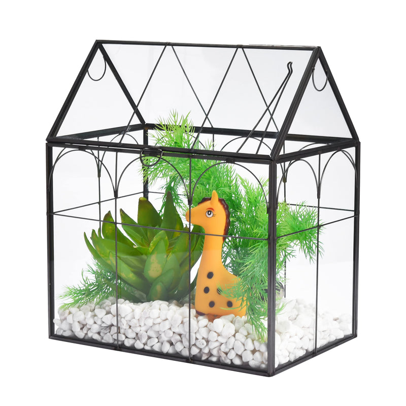 Glass Terrarium With Lid - 9x11x6-Inch Indoor Greenhouse Plant Terrarium