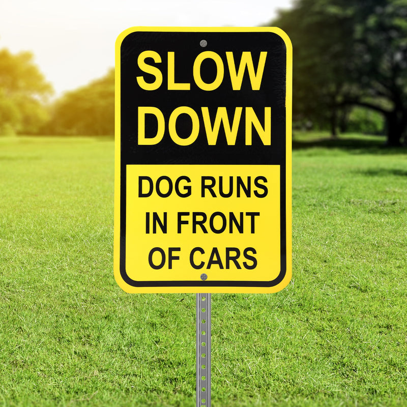 Slow Down - Dog