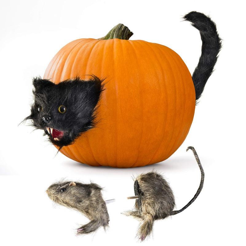 Creepy Cat And Furry Rat Heads And Tails Spooky Home Decor  Scary Halloween