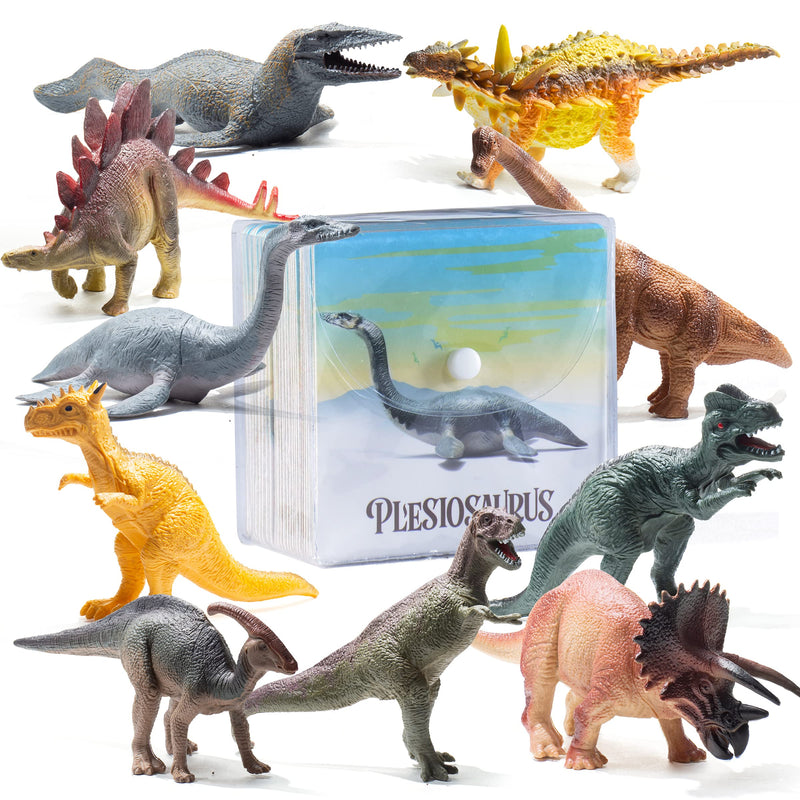 Dinosaur Toy And Memory Card Set  12 Realistic 10" Kid Toy Dinosaurs With 24