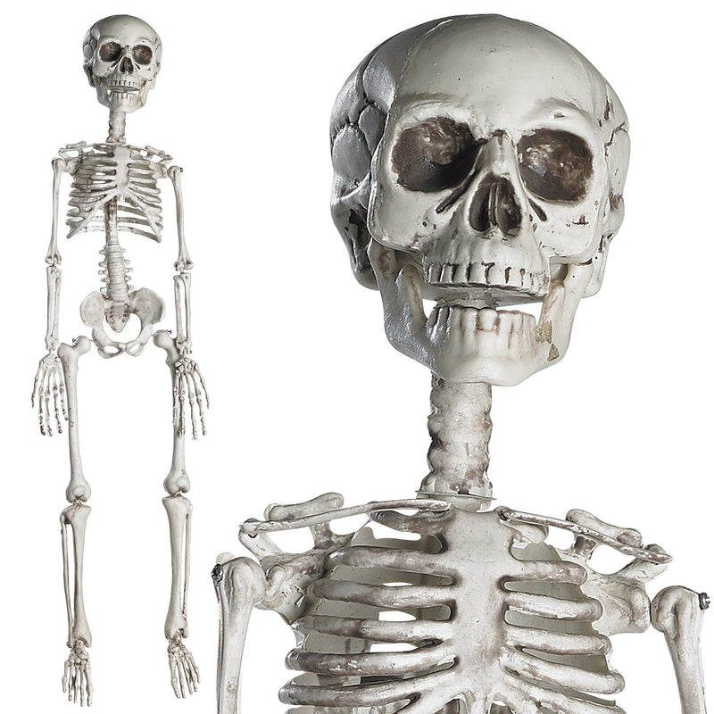 30 Halloween Skeleton For Halloween Dcor & Day Of The Dead Dcor - 25 Ft Full