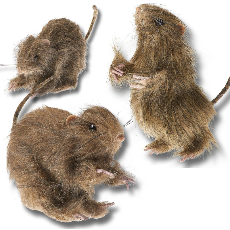 Realistic Furry Fake Rats For Best Halloween Decoration: Halloween Fake Rats