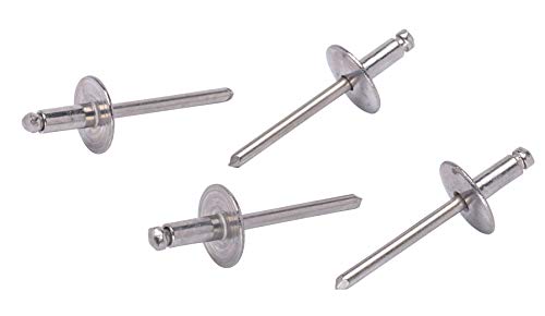 Large Flange Rivets, Stainless Steel, 1/8" x 1/4" Inch, (4-4) (100pc), Gap (0.188-0.250)"