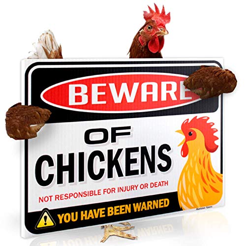 Bigtime Signs Beware of Chickens Warning Sign - 9 inches x 12 inches - Funny Chicken Coop