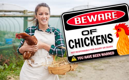 Bigtime Signs Beware of Chickens Warning Sign - 9 inches x 12 inches - Funny Chicken Coop