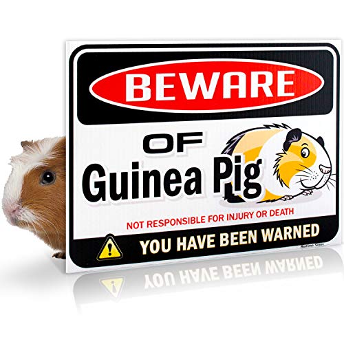 Bigtime Signs Beware of Guinea Pig Warning Sign - 9 inch x 12 inch - Danger Sign Funny Gag