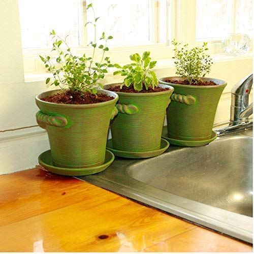 Window Garden Rustic Charm 6 Planter - Fine Home Dcor Ceramic Indoor Decorative Pot.