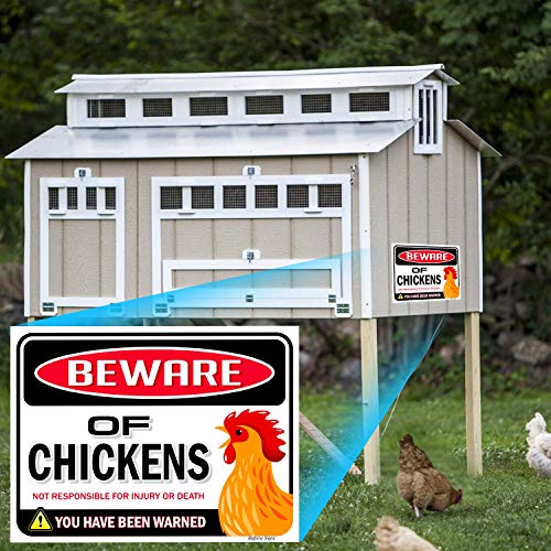 Bigtime Signs Beware of Chickens Warning Sign - 9 inches x 12 inches - Funny Chicken Coop