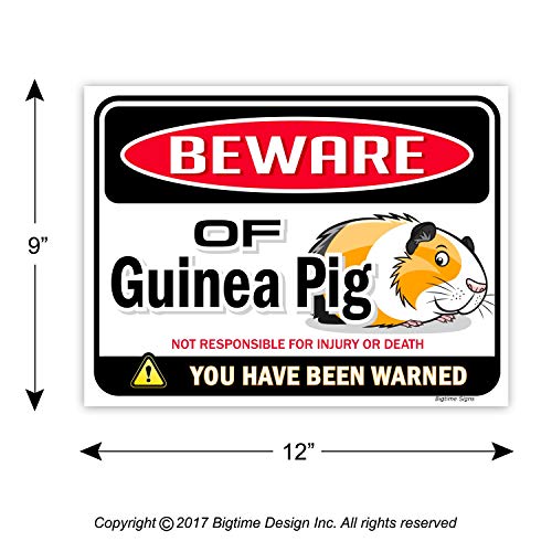 Bigtime Signs Beware of Guinea Pig Warning Sign - 9 inch x 12 inch - Danger Sign Funny Gag