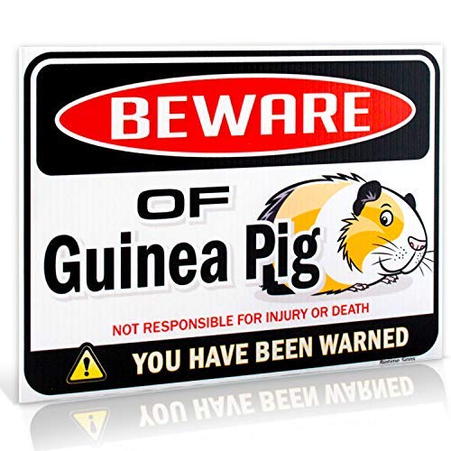 Bigtime Signs Beware of Guinea Pig Warning Sign - 9 inch x 12 inch - Danger Sign Funny Gag