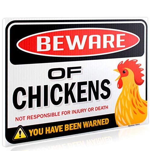 Bigtime Signs Beware of Chickens Warning Sign - 9 inches x 12 inches - Funny Chicken Coop