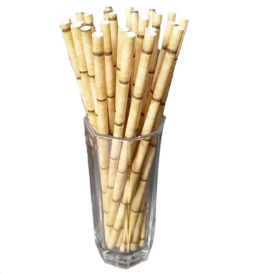 Kicko Bamboo Paper Straws - Pack of 24-7.75 Inch Biodegradable Drinking Straws - Eco