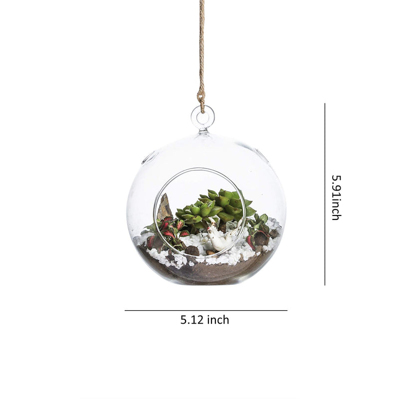 Glass Hanging Terrarium Set Of 3 In Large Size- Succulent/Moss/Air Plant Terrarium - 3