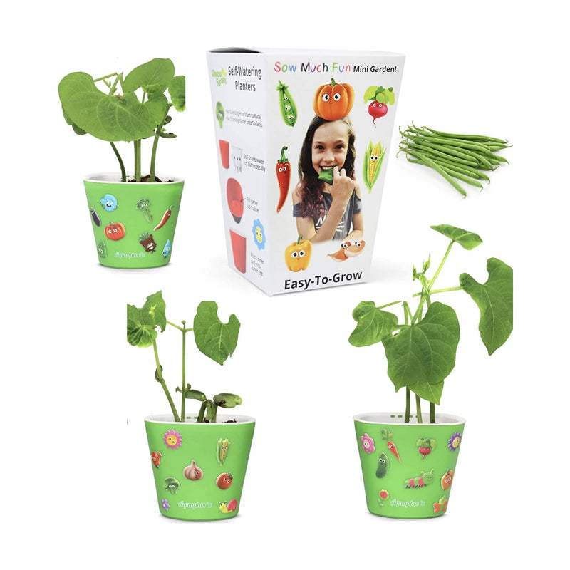 Window Garden Sow Much Fun Seed Starting, Vegetable Planting and Growing Kit for Kids, 3