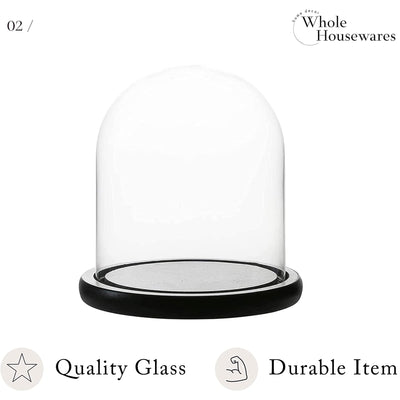 Decorative Clear Glass Dome/Tabletop Centerpiece Cloche Bell Jar Display Case with Black