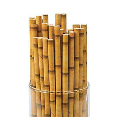 Kicko Bamboo Paper Straws - Pack of 24-7.75 Inch Biodegradable Drinking Straws - Eco