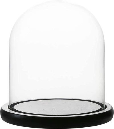 Decorative Clear Glass Dome/Tabletop Centerpiece Cloche Bell Jar Display Case with Black