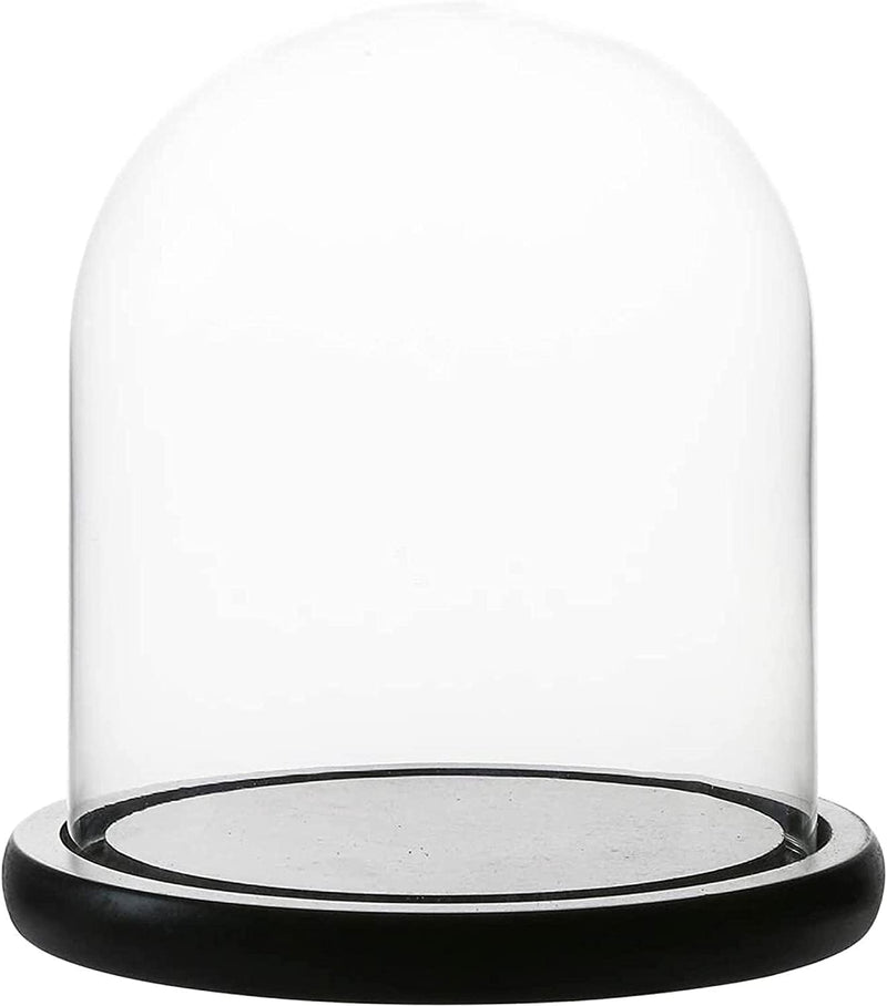 Decorative Clear Glass Dome/Tabletop Centerpiece Cloche Bell Jar Display Case with Black