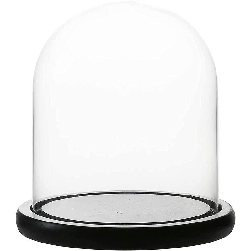 Decorative Clear Glass Dome | Tabletop Centerpiece | Cloche Bell Jar Display Case | Black