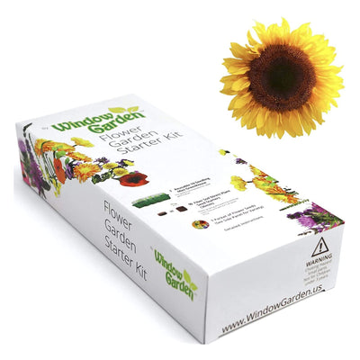 Window Garden - Lemon Queen Sunflower Flower Starter Kit - Grow Beauty. Germinate Seeds