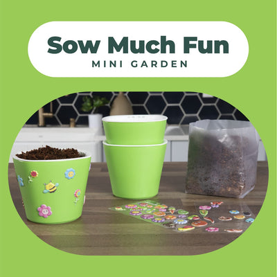 Window Garden Sow Much Fun Seed Starting, Vegetable Planting and Growing Kit for Kids, 3