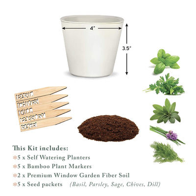 Window Garden Herb Starter Kit -Self Watering Herb Growing Kit, Easy to Grow Herbs Seeds