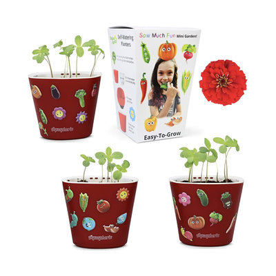 Window Garden Sow Much Fun Seed Starting, Vegetable Planting and Growing Kit for Kids, 3