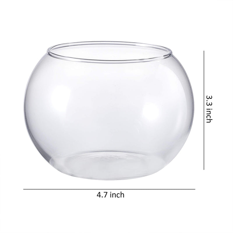 Clear Glass Bubble Bowl  Glass Fish Bowl  Globe Flower Vase