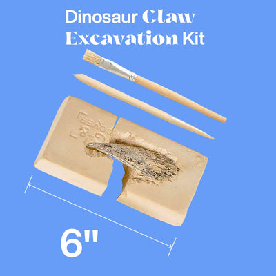 Kicko 6 Inch Dinosaur Claw Excavation Kit - 1 set of Dino Fossil Dig Toolkit - Perfect