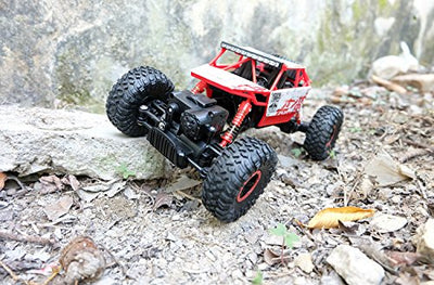 Top Race Remote Control Car for Boys, RC Monster Trucks, RC Cars for Adults and Boys