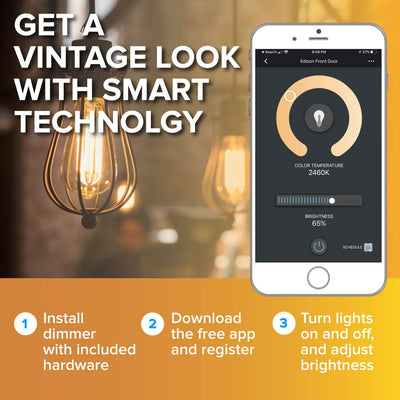 Hamilton Hills Smart Home Certified LED Edison Smart Light Bulb 2 Pack of Light Bulbs