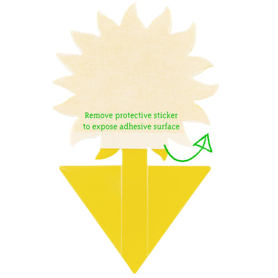 Yellow Sticky Traps For Gnats: 60x Sticky Fly Traps For Indoors  Gnat Traps