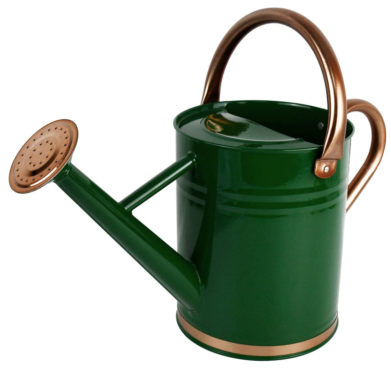 Watering Can - Metal Watering Can With Removable Spout, Perfect Plant Watering Can