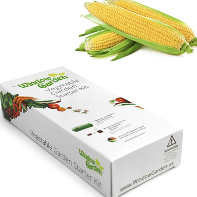 Window Garden - Corn Vegetable Starter Kit - Grow Your Own Food. Germinate Seeds on Your