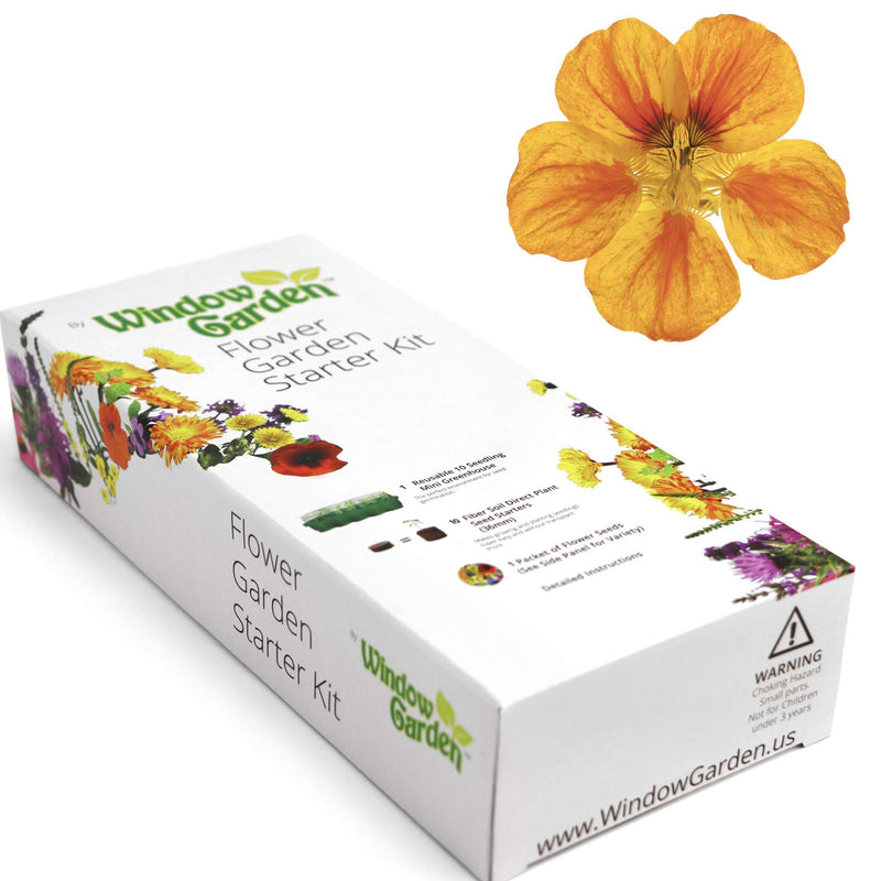 Window Garden - Lemon Queen Sunflower Flower Starter Kit - Grow Beauty. Germinate Seeds