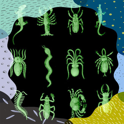 Kicko Glow in the Dark Insects - 144 Pieces of Pests and Bugs - Centipede, Lizard, Spider