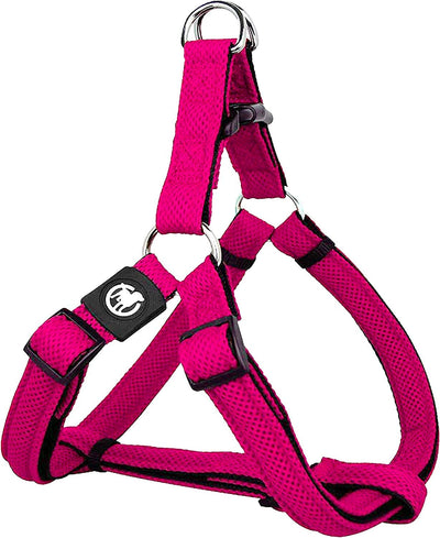 Dog Harness Air Mesh, Step-In, Adjustable, Padded  Many Colors & Sizes