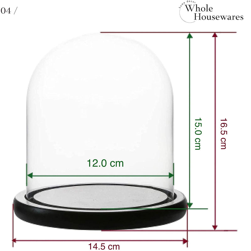 Decorative Clear Glass Dome | Tabletop Centerpiece | Cloche Bell Jar Display Case | Black