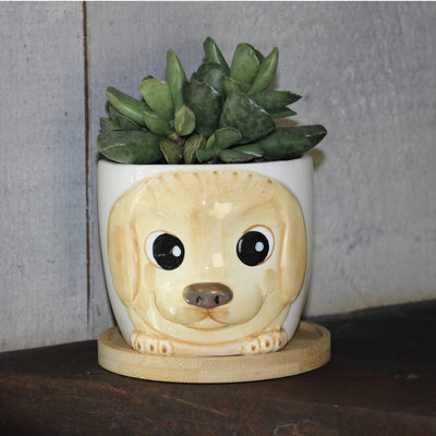 Window Garden Animal Planter - Large Puppy Pot (Cali) for Indoor Live House Plants