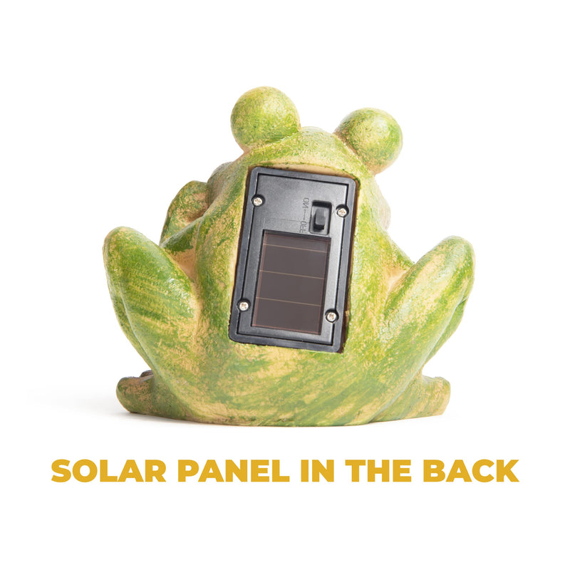 Frog Solar Powered LED Outdoor Garden